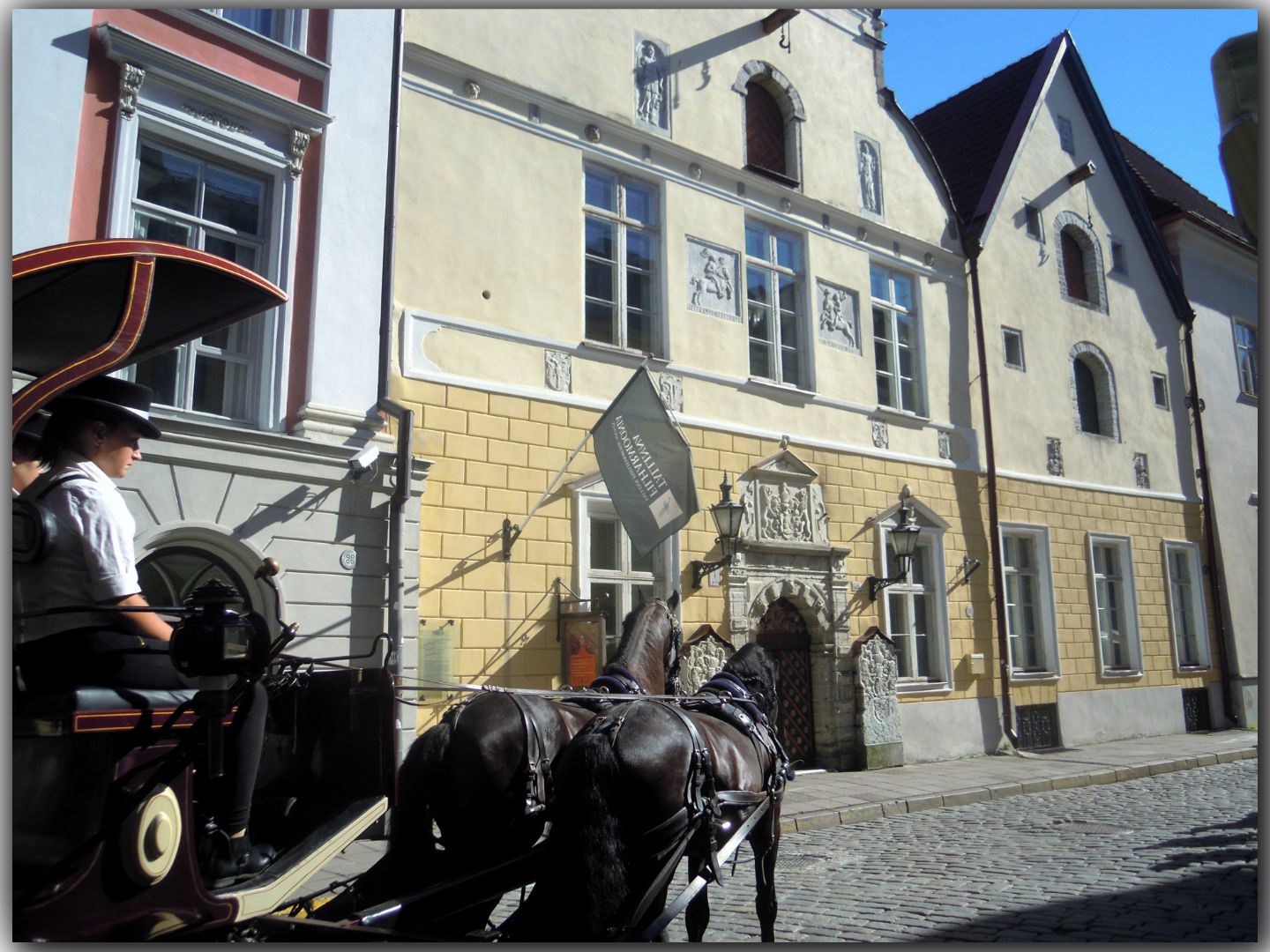40-DSCN4565  9-08-2015 8-32-47